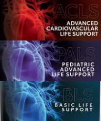 ACLS/PALS/BLS Provider <br>AHA Preferred Course Manual