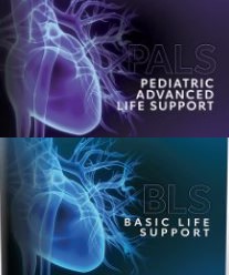 PALS & BLS Provider<br>AHA Preferred Course Manual